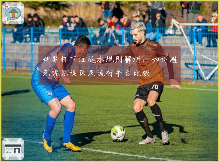 世界杯下注返水规则解析，如何避免常见误区及流行平台比较